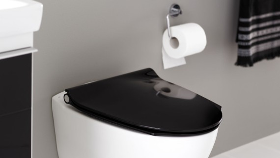 Kaip pakeisti WC puodo dangtį?